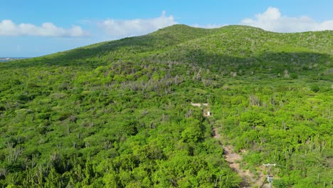 panorámica aérea de la matorral seca y árida en una isla del caribe