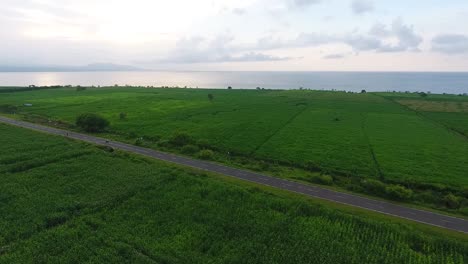 aerial-footage-at-sunset-of-narrow-road-in-corn-rice-field-country-side-of-Samota-Area,-Sumbawa,-Indonesia
