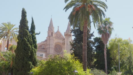 The-majestic-Catedral-Basílica-de-Santa-María-de-Mallorca,-framed-by-trees-and-palms-in-the-foreground,-basking-in-the-glow-of-the-sunshine