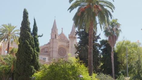 the majestic catedral-basílica de santa maría de mallorca, framed by trees and palms in the foreground, basking in the glow of the sunshine