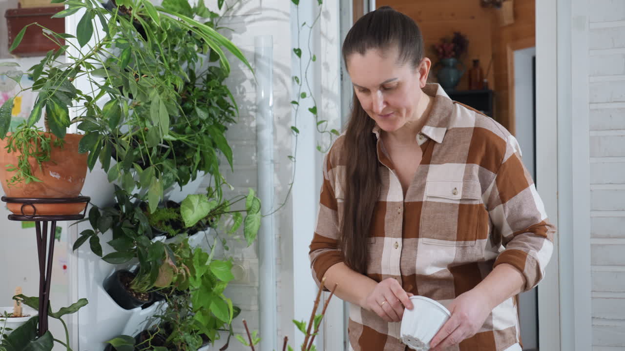 Home keeper separating nested planter buckets and arranging them on glass table in bright cozy indoor garden room with lush potted plants, gardening tools, wooden planter bucket, white brick wall