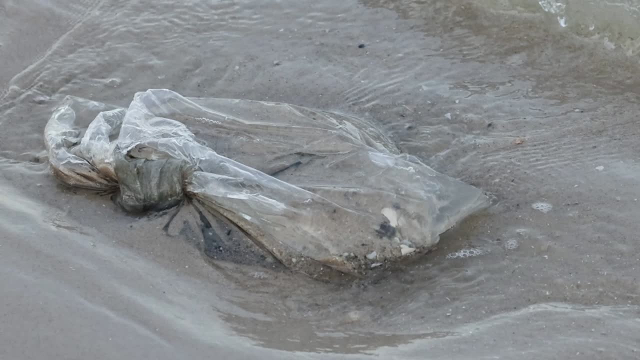 바다의 비닐봉지