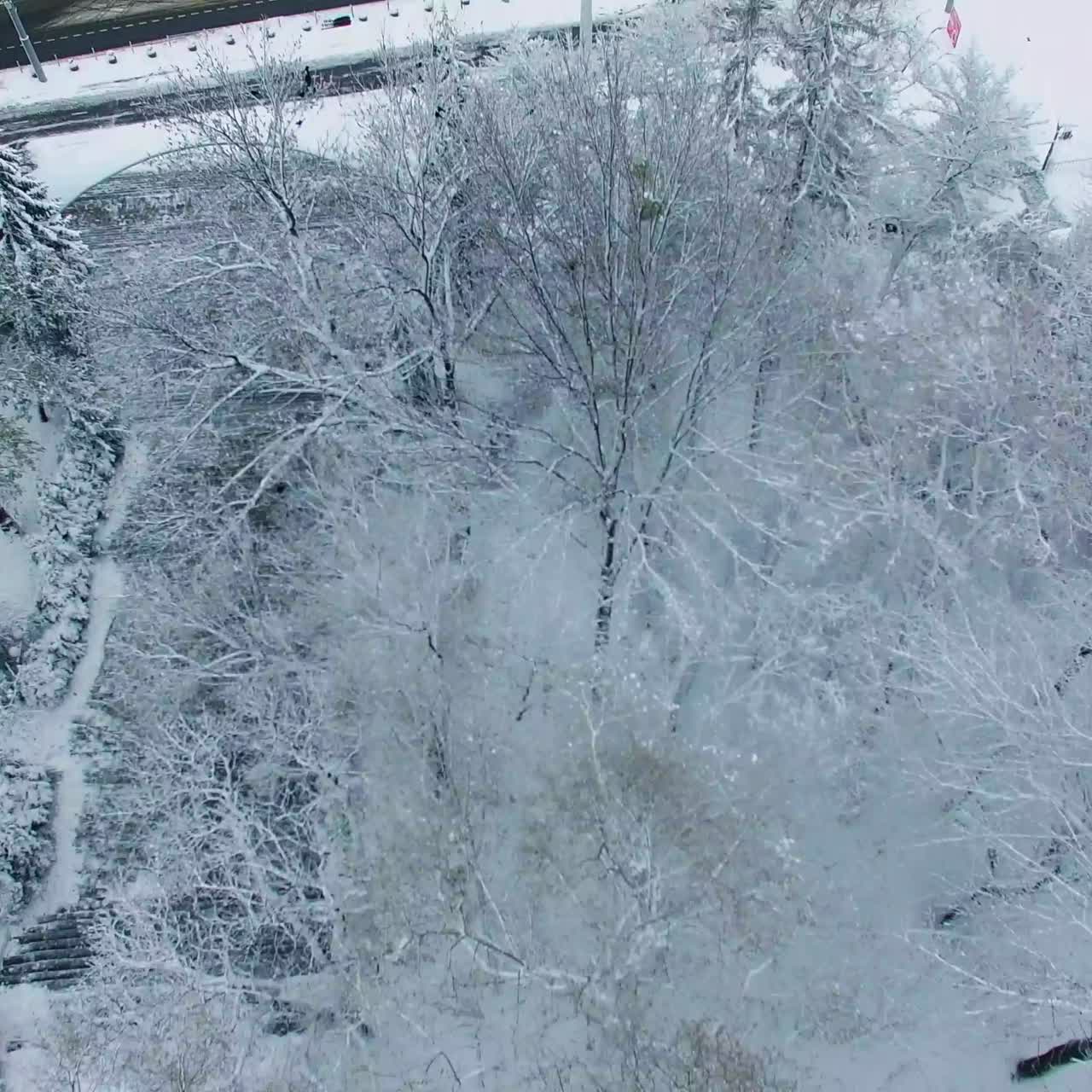 Winter in the city park. Drone flying over the tree tops covered with snow up to the road junction