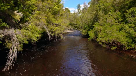 POV-Boat-Sails-through-narrow-waters-between-myrtle-forest,-Chiloé,-Chilean-Patagonia-during-Sunny-Day