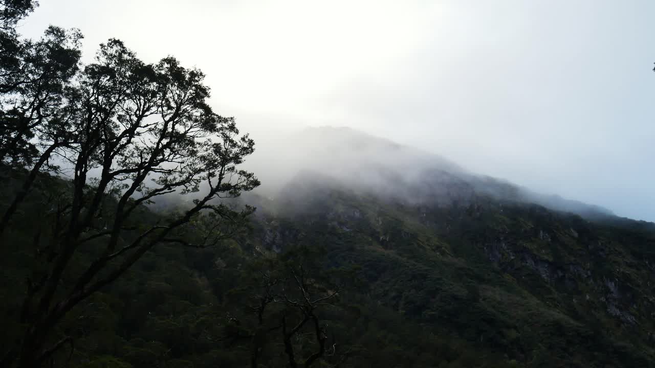 뉴질랜드 피오르드랜드 국립공원의 식생된 산들 사이를 날아다니는 신비한 안개의 시간 경과
