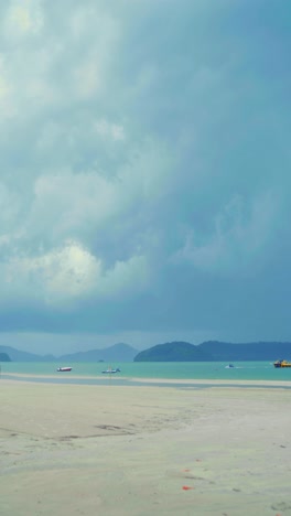 low angle shot of flowers in tree with revealing of a tropical beach in langkawi, malaysia