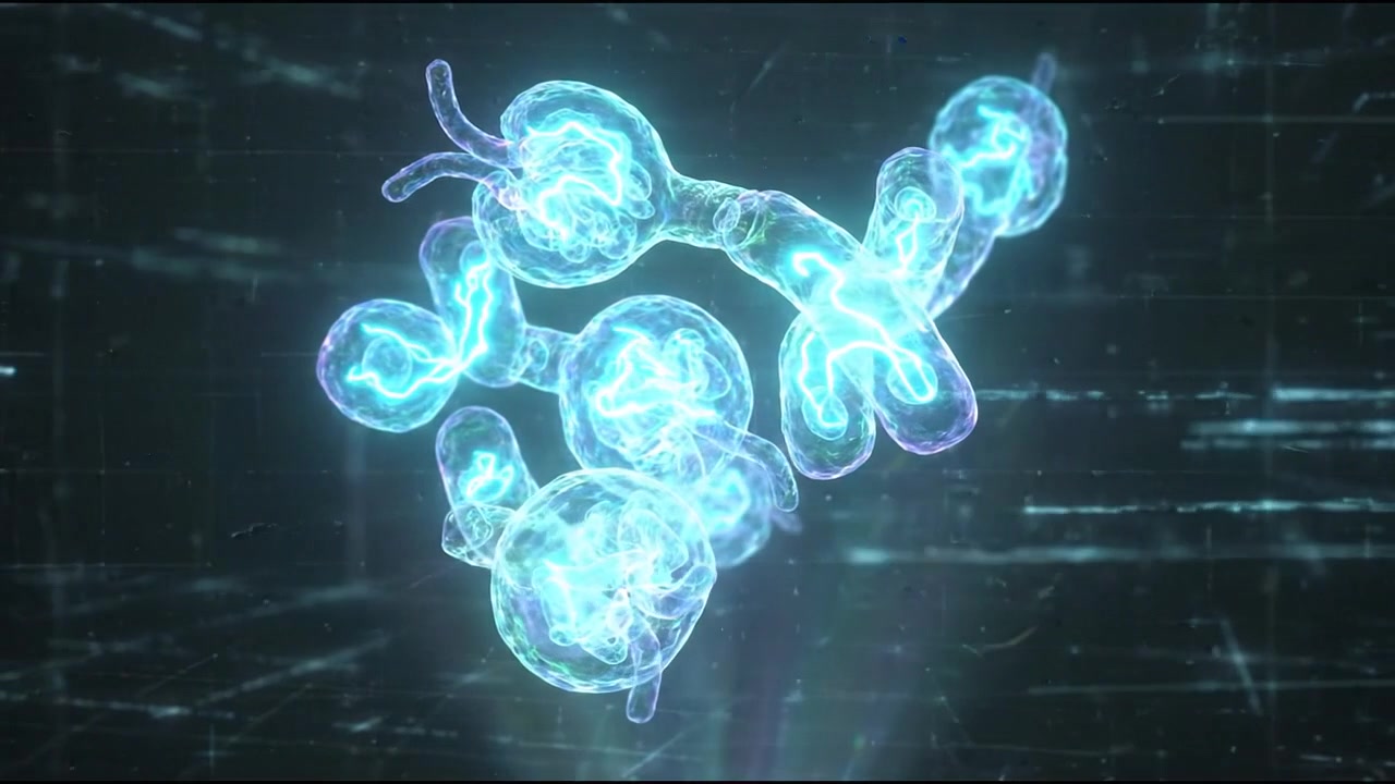 Microscopic spherical cellular cluster microbiology visualization