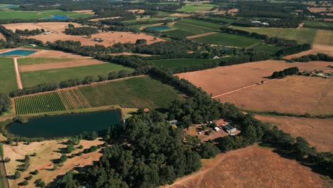 Reveladora-Toma-De-Drone-De-Una-Granja-Y-Un-Viñedo-En-La-Región-Vinícola-Del-Río-Margaret-En-Australia-Occidental