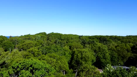 Drone-Se-Eleva-Desde-La-Línea-De-árboles-Para-Mostrar-El-área-Junto-Al-Lago-Cerca-De-Pere-Marquette-En-Muskegon,-Mi