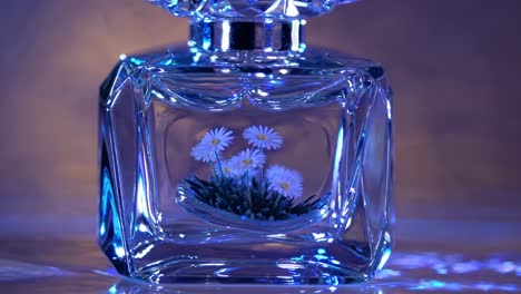 crystal clear perfume bottle filled with delicate daisies and vibrant grass, evoking a fresh, natural scent while resting on a reflective surface, enhancing its elegant beauty