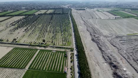 El-Camino-Entre-Los-Jardines-De-Nangarhar-Y-Las-Tierras-En-Barbecho.