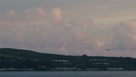 panoramic view of a coastal town and hills at dusk