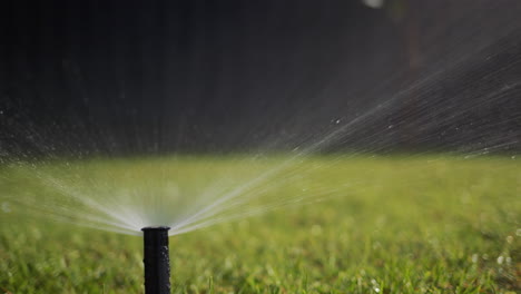 slider shot: a stream of water under pressure irrigates the green .