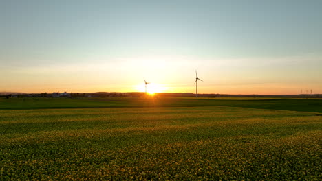 vista aérea de campos verdes con turbinas eólicas al atardecer