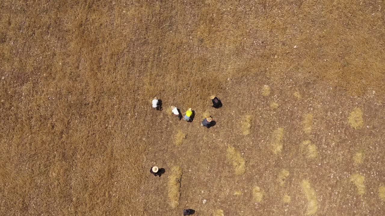 모로코 건초밭의 드론 샷