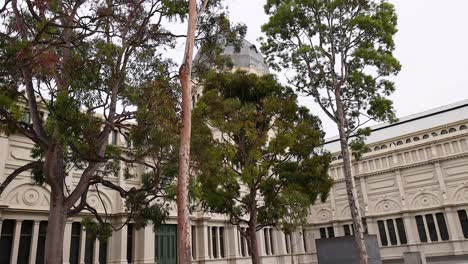 tree in front of melbourne museum building