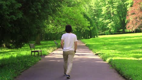 young man walking forest park garden leisure time