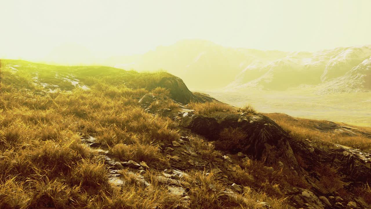 Vibrant golden landscape showcasing rocky terrain and tall grass at sunrise