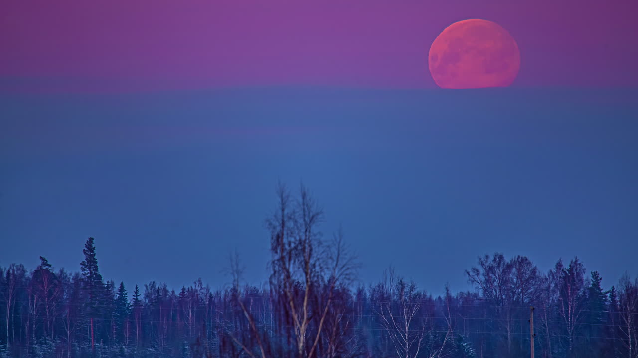 una superluna se eleva a través de la neblina atmosférica para iluminar un bosque - lapso de tiempo