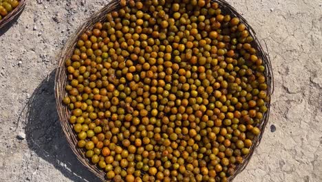 Cesta-Redonda-De-Mimbre-Plana-Llena-De-Ciruela-Pelada,-Fruta-Fresca,-Ciruela-Negra,-Vitamina-Nutritiva-Orgánica,-Producto-Agrícola-De-Pueblo-Rural,-Huerto-En-Clima-Semidesértico,-Ciudad-De-Montaña-Local