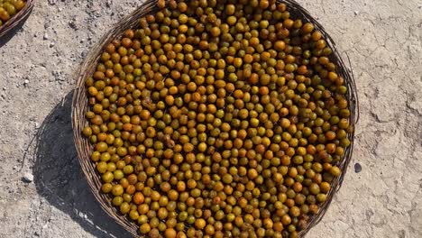 cesta plana redonda de mijo llena de cáscara de ciruela fruta fresca ciruela negra producto agrícola orgánico nutritivo de vitaminas de la aldea rural huerto de campo en clima semi desértico ciudad de montaña local