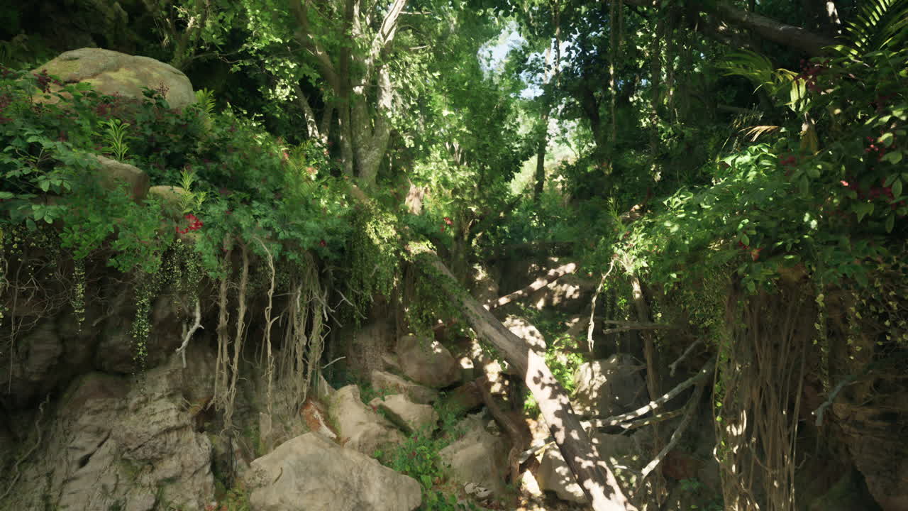 camino de la selva exuberante