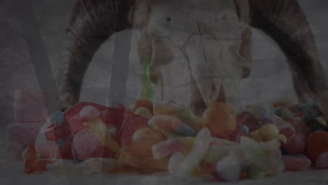 espeluznante cráneo de cabra con cuernos y dulces contra un fondo parpadeante.