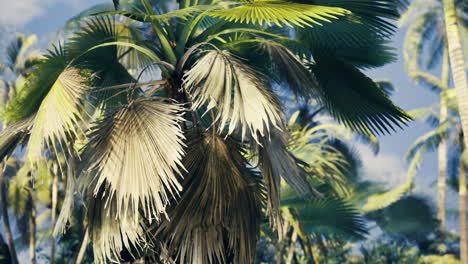 green foliage swaying gently in the breeze under the clear sky