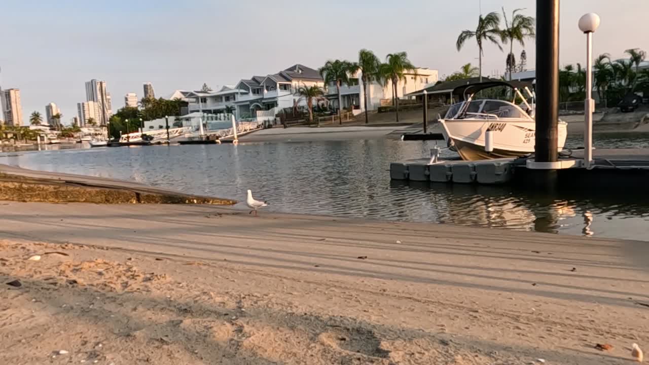 Escena tranquila de un puerto deportivo con pájaros y un barco