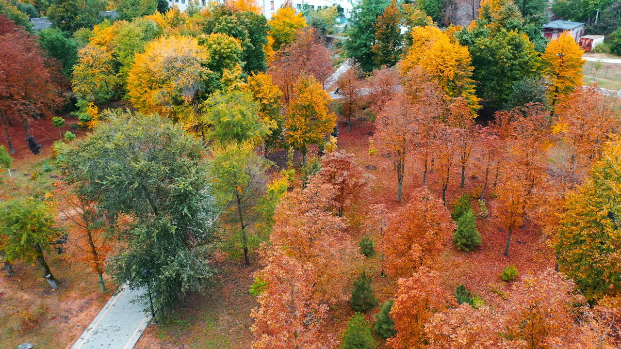 Beautiful multi-colored trees in the city park in autumn. Multi-storied buildings at backdrop. Aerial perspective.