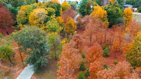 beautiful multi-colored trees in the city park in autumn. multi-storied buildings at backdrop. aerial perspective.