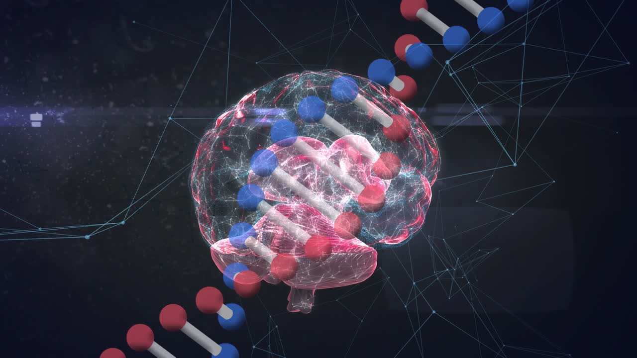 Animação de estrutura de DNA, cérebro humano girando em interface gráfica com pontos de conexão de rede.