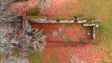 ascending top down view church ruin scenery with fall leaves on grass, skallsjö kyrkoruin