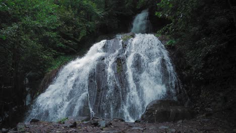 beautiful waterfall between the trees