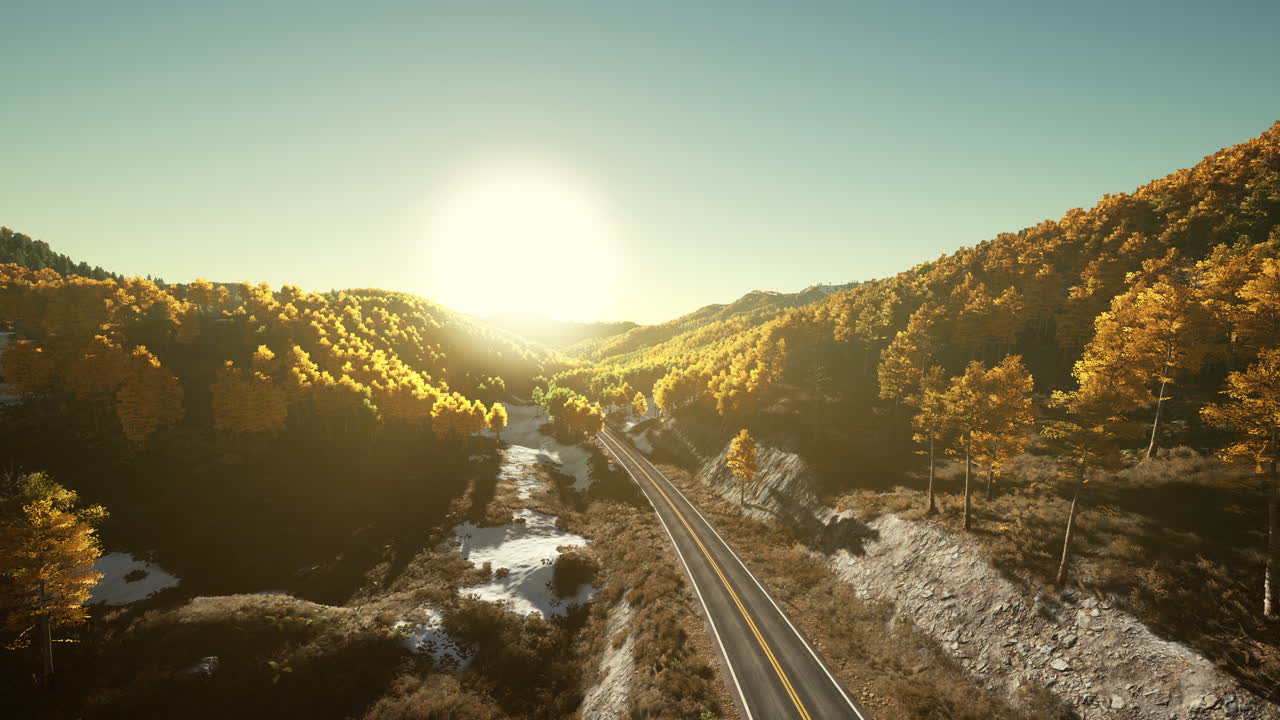 vista aérea de un camino a través de un bosque en otoño