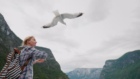 Ein-Tourist-Füttert-Die-Vögel-Vor-Dem-Hintergrund-Der-Fjorde-Norwegens-Panoramakreuzfahrt-4k-Video