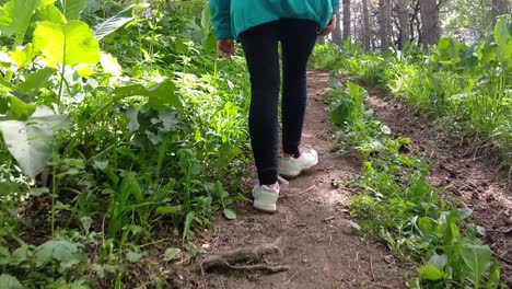 Woman-walking-upwards-the-forest-path-in-a-sport-suit-during-hiking-the-mountain-in-summer