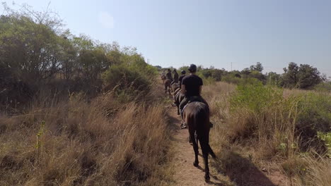 point of view riding a horse in single file behind others riding