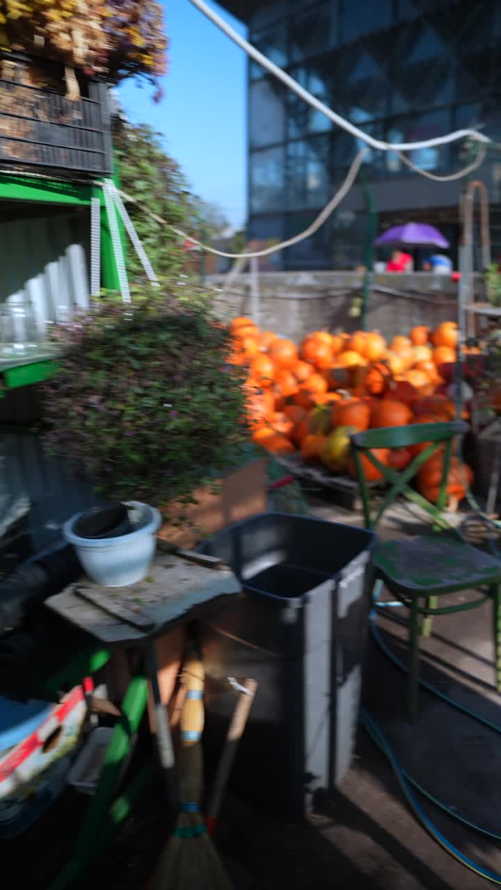 высокие кукурузы на городском рынке