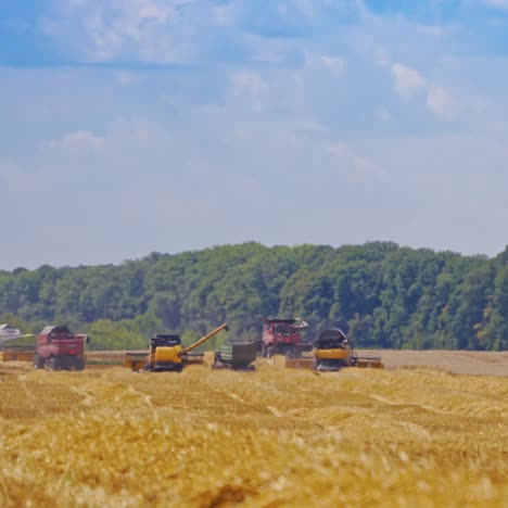 agricultural machinery for harvesting grain in action. harvesting season