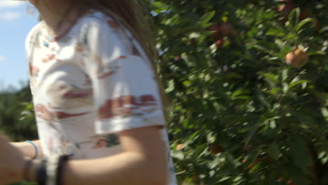 young teen girl at orchard poses with fresh picked red apples