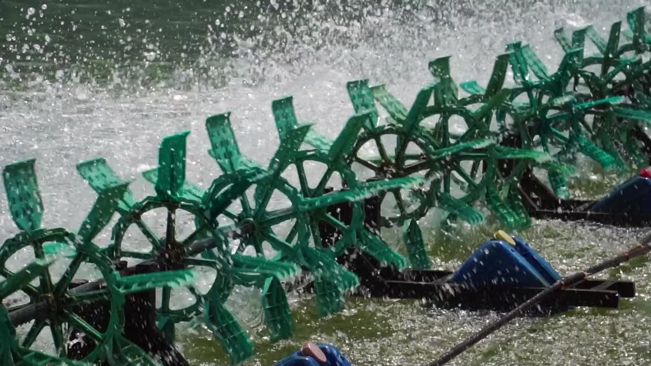 Shrimp Farming In Son Hai, Vietnam With Aerator Pumps For Water Oxygenation. close up