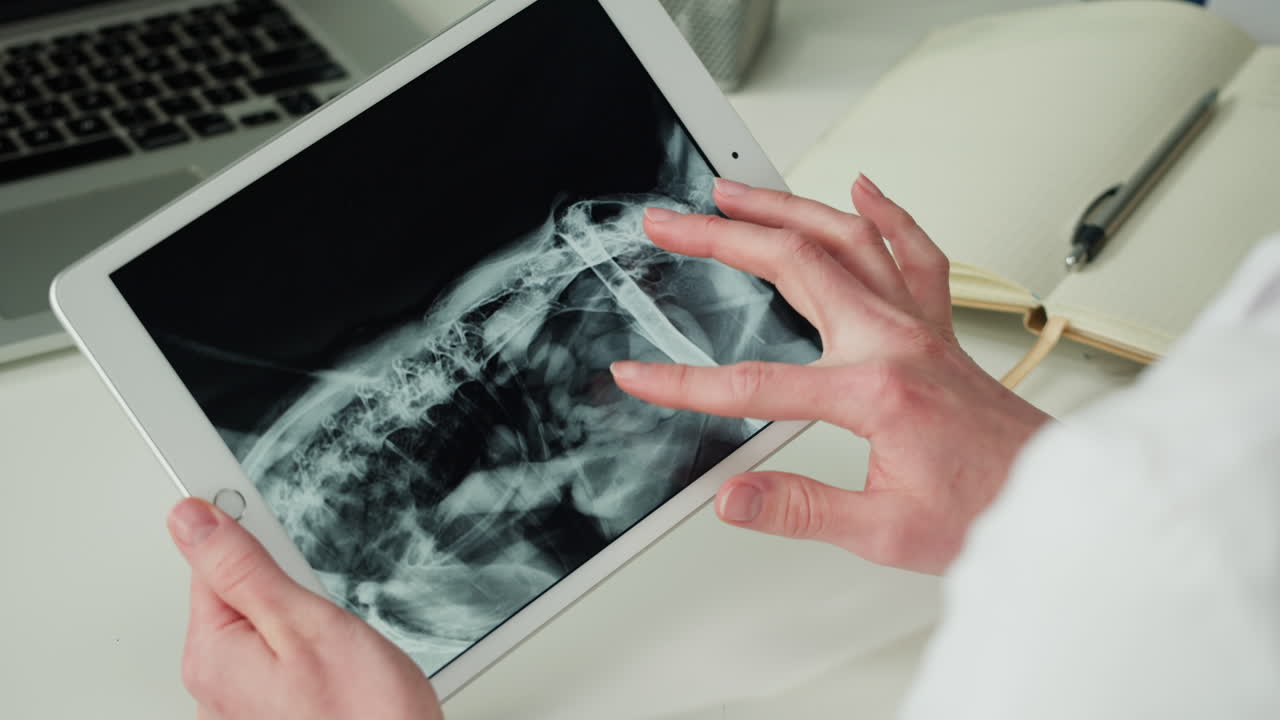 Veterinarian reviewing animal x-ray on tablet