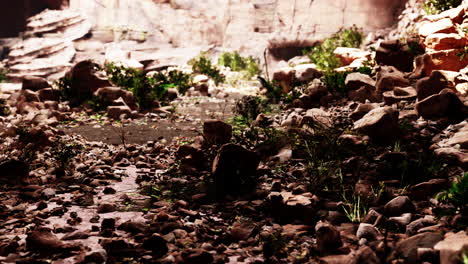 cave in an extinct volcano on the island