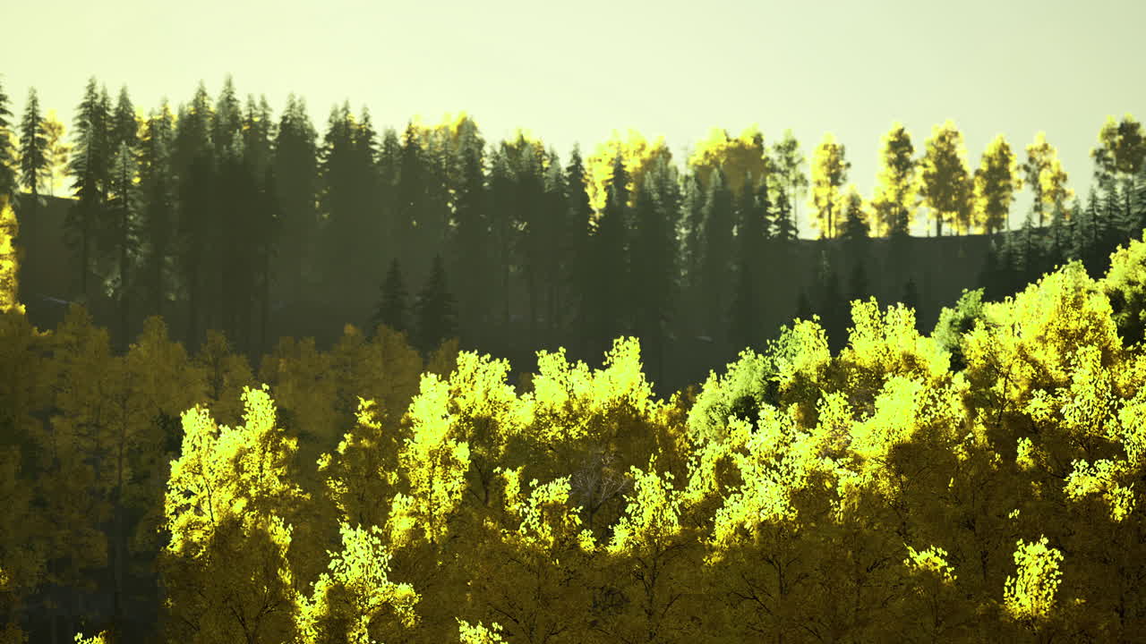 Lush green hills basking in golden sunlight in a serene mountainous landscape