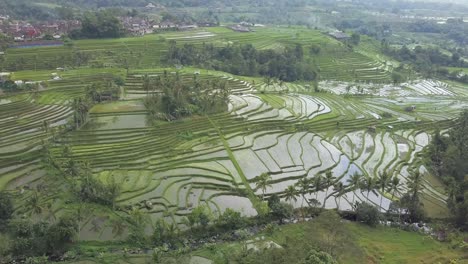 aerial view of the unesco world heritage rice fields at jatiluwih, bali, indonesia on a cloudy day