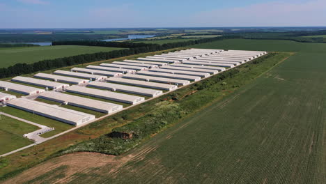 neat territory of a new farming complex for animal breeding. modern agricultural business industry in the green farmlands. fantastic nature landscape on sunny day at the backdrop.