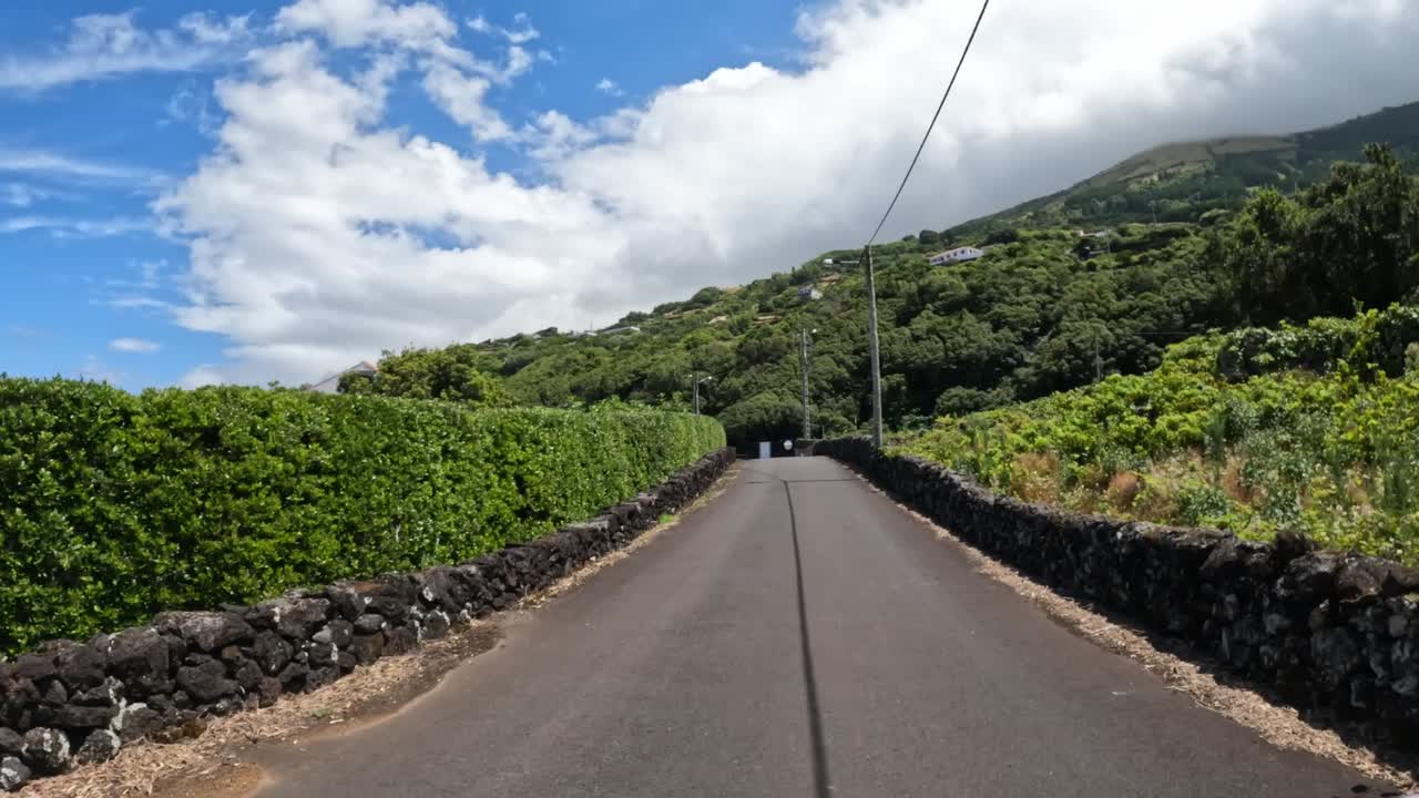 Driving POV along a scenic road surrounded by greenery on Pico Island, Portugal