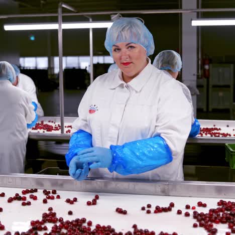 cherry selection at the factory