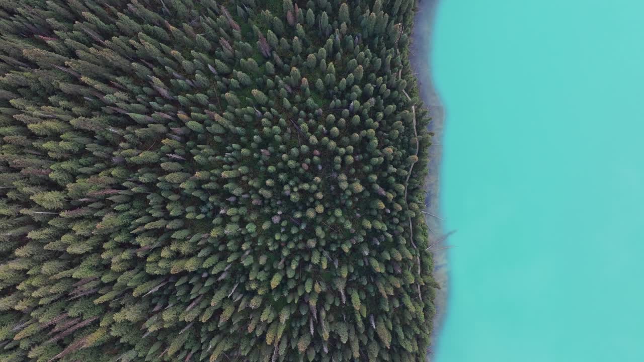 Ripresa cinematografica che rivela un bellissimo lago color smeraldo, circondato da alberi alti e montagne
